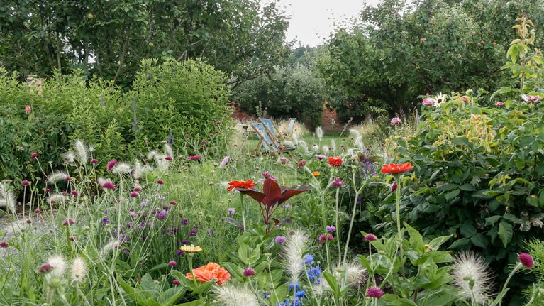 Blooming flowers in the walled garden at Berrington Hall